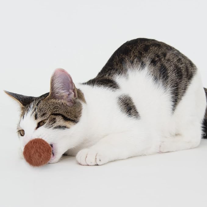 LEIFIDE 12 Pieces Real Rabbit Fur Pom Pom Kitty Cat Toy Fluffy Cat Balls Soft Fuzzy Balls for Kitty Pets Kitten Chase Quiet Play, 3 Inches in Diameter(Bright Color)