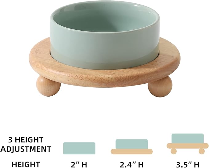 Ceramic Elevated Cat Food and Water Bowl, Kitty Bowl, Raised Cat Dish, Pet Feeder (5.1 in,1 x Light Green + Stand)