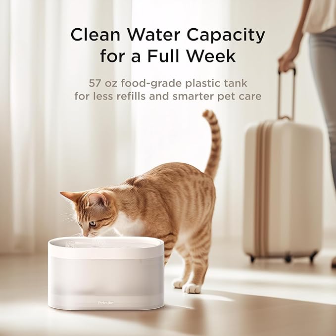 Petcube Bundle of Water Fountain with Stainless Steel Basin+3 Filters Pack | Automatic Wireless Fountain for Cats and Dogs, Easy to Clean, in-App Filter Control, Quiet Pump, Battery Operated