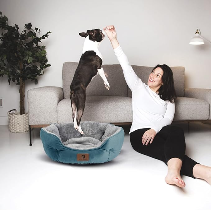 Asvin Medium Dog Bed for Medium Dogs, Cat Beds for Indoor Cats, Pet Bed for Puppy and Kitty, Extra Soft & Machine Washable with Anti-Slip & Water-Resistant Oxford Bottom, Teal, 25 inches