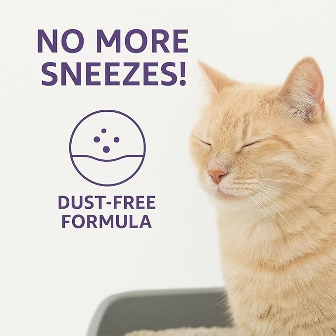 Lavender Scented Clumping Cat Litter – 9.6 lb / 5L, Lightweight, Dust-Free, Strong Odor Control, Turkish White Bentonite