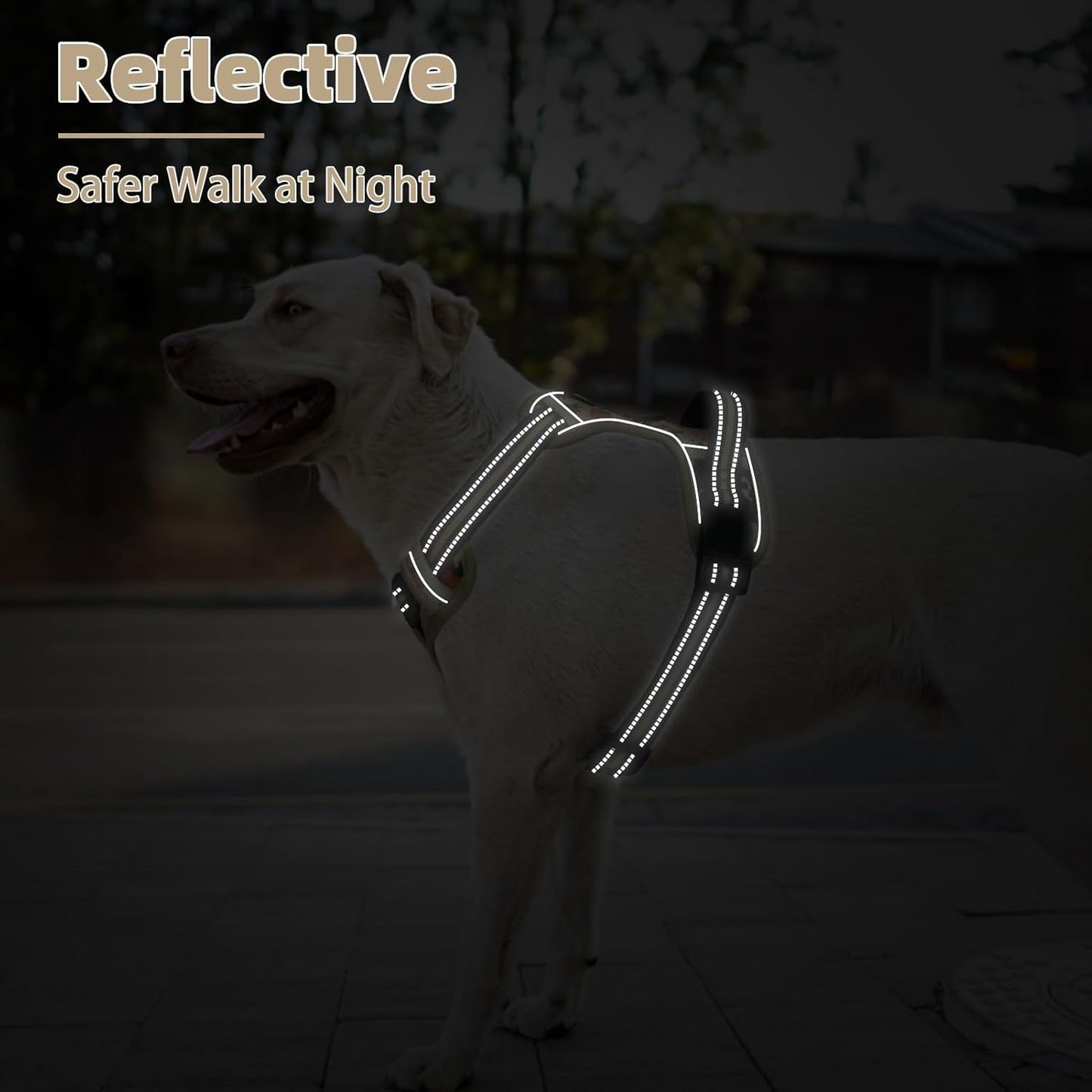 PUPTECK No Pull Dog Harness Medium Sized, Adjustable Reflective Dog Harness with Handle Easy Control, Comfortable Soft Padded Pet Vest Harness for Medium Dogs, Camouflage M