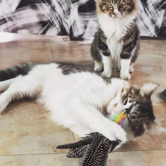 Handmade Natural Feather Cat Toy Dah Bird Refills - Interactive Cat and Kitten Toy - 6 Pack