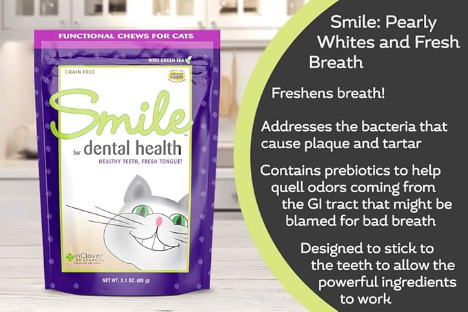 Smile Daily Dental Health Soft Chews for Cats, Support Healthy Teeth and Fresh Tongue with Catnip and Green Tea, Prebiotics, and Chlorophyll for Fresh Breath, 10.5 oz