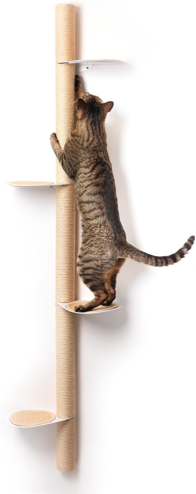 68" Tall Wall-Mounted Cat Tree – Modern Space-Saving Cat Shelf with Sisal Scratching Post & Steel Climbing Steps – Stylish Cat Wall Furniture for Small Spaces