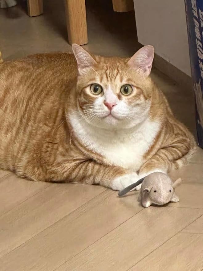 Plush Catnip Mice Toys with Crinkle Sound - 2 Pcs Interactive Cat Toys for Indoor Cats, Durable Stress Relief Eco-Friendly Small Mouse Chew Playthings（Camel+ Chestnut Color）