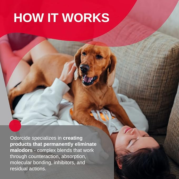 Odorcide 210 Original ScentHalf Gallon Size