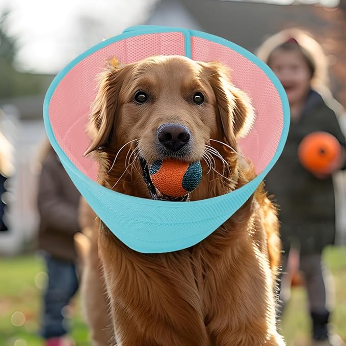 Inspack Soft Dog Cone Collar Alternative, E Cones for Medium Small Dogs/Cat to Stop Licking After Surgery, Neuter Recovery Ecollars of Shame Alternatives, Comfortable Paws Comfy Elizabethan Collars