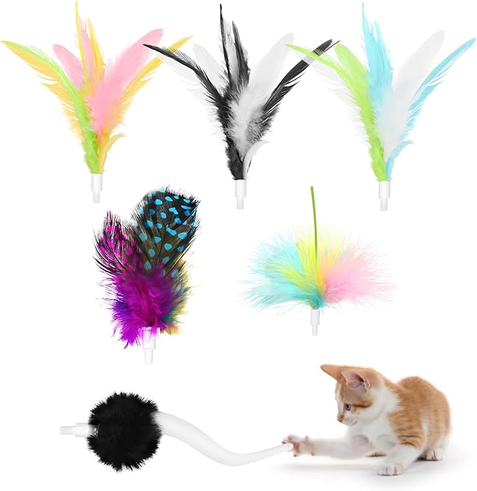 6 Pcs Feather Replacement Cat Toys for CT01 cat Toy Feather Accessories for Indoor Refills kittenToy Accessories