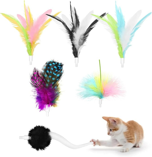 6 Pcs Feather Replacement Cat Toys for CT01 cat Toy Feather Accessories for Indoor Refills kittenToy Accessories