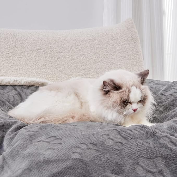 Qeils Dog Blankets for Small Dogs - Waterproof Cat Blanket Washable - Sherpa Fleece Puppy Blanket, Soft Plush Reversible Throw Protector for Bed Couch Car Sofa, 40"X50", Grey