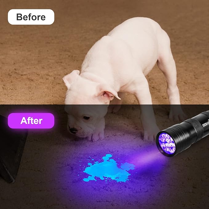 ESCO LITE 2 Packs Black Light Flashlight, 12LED 395nm UV Handheld Black Light Mini Flashlight, Dogs Urine Detector for Dry Urine Stains, Bed Bugs, Scorpions