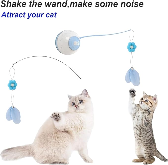 Cat Toilet Training Systems,Cat Toilet Training Kit,Reusable Plastic Trainer for Pet Cleaning with 1 Replaceable Cat Feather Toy,Litter Boxes (Blue)