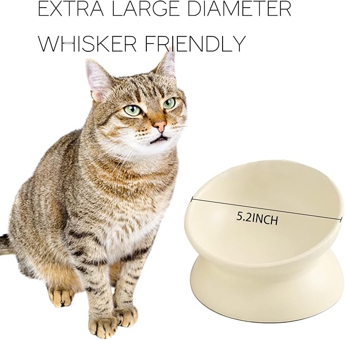 Ceramic Raised Cat Bowl, Cat Food Bowls Elevated Tilted, Ceramic Pet Bowl Whisker Friendly, Anti Vomit & Reduce Neck Burden for Food and Water (Yellow)