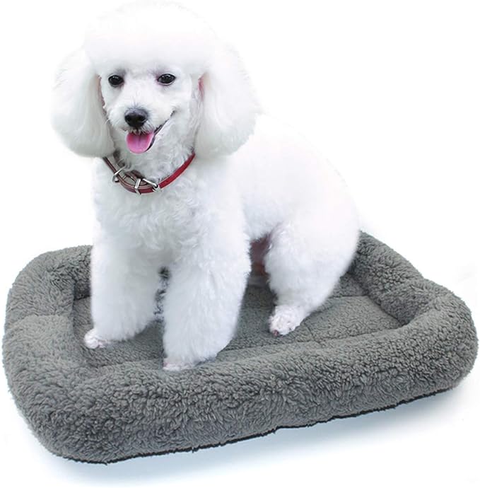 Enjoying Cat Mat Bed 16" x 22" Pet Bed with Pillow Around for Dogs Cats Curled Sleeping Beds for Carrier/Crate Small to Medium Dog Cushion, Anti Skid Bottom, Medium