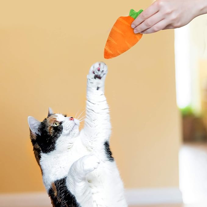 Easter Spring Cat Catnip Kitten Chew Bite Toys Interactive Pillows Teeth Plush Plaything for Cat Gift Cat Lover Funny Pets Supplies Set of 6