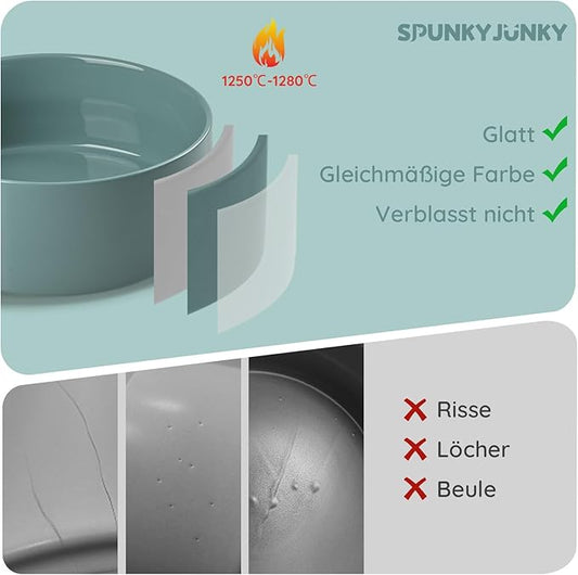 SPUNKYJUNKY 28.7OZ Ceramic Dog and Cat Bowl, Modern Cute Weighted Food Water Bowl for Replacement Light Green (2 Pack)