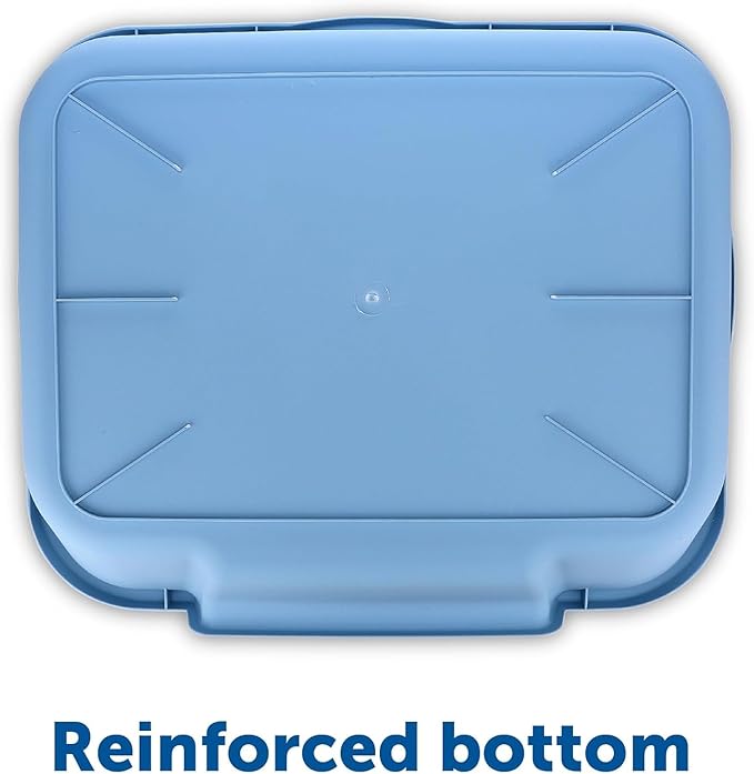 KittyGoHere Senior Cat Litter Box 2 Pack, Large Blue Low Entrance Kitty Litter Box, Sized for Cats Comfort, Perfect for Senior & Arthritic Cats, Made in USA, with Long-Handle Jumbo Scoop