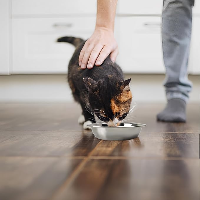 4pcs Stainless Steel Cat Bowls - 7.1 Inch Metal, Shallow Dish for Indoor Cats - Elevated Food Bowl for Kittens with Whisker Fatigue Protection