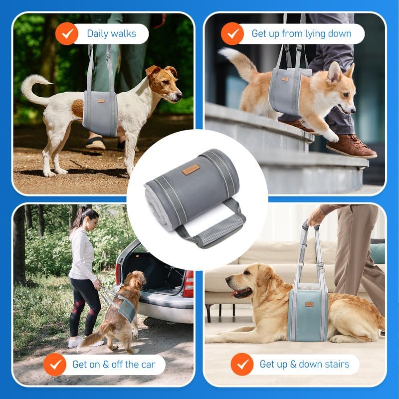 Dog Lift Harness for Medium Dogs - Adjustable Sling for Rear Legs, Hip Support for Canine Aid & Cruciate Ligament Rehabilitation - Medium, Grey