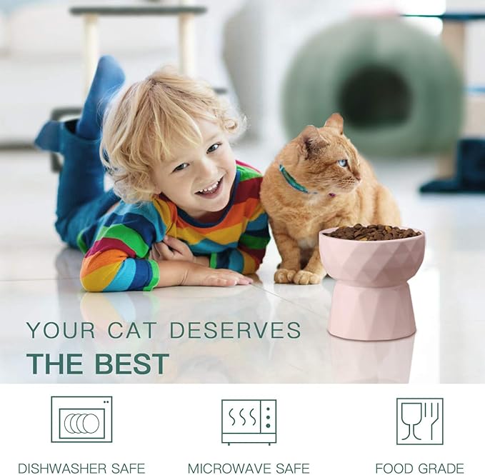 Frewinky Ceramic Cat Bowls Anti-Vomiting, Raised Food and Water Bowl Set for Cats and Small Dogs, 13.5 Oz, Pink