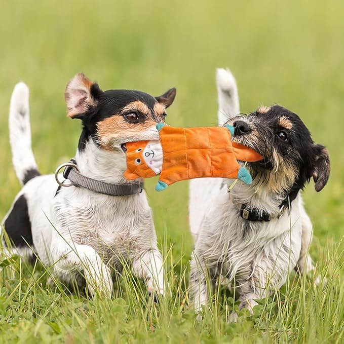 No Stuffing Dog Toys - 5 Pack Squeaky Crinkle Plush Set for Puppy Teething, Durable Chew Toys for Small Medium Dogs, Cute Holiday Pet Toys for Playing Training Reducing Boredom