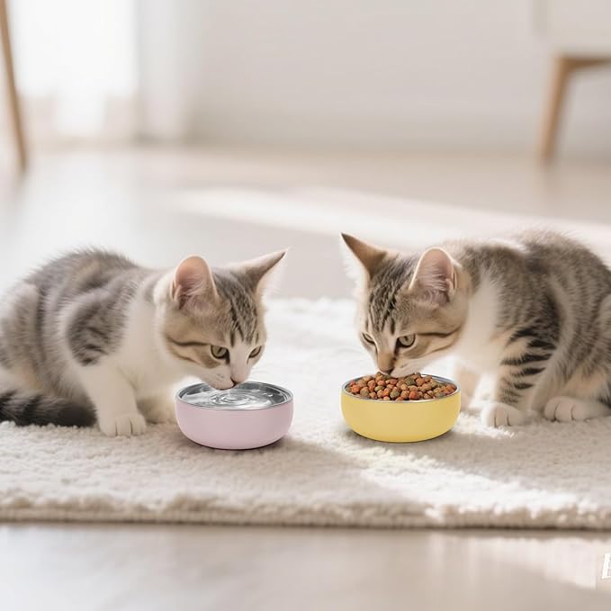Kitten Food Bowls 2 Pack, Stainless Steel Cat Food and Water Bowl Set with Anti-Slip Silicone Bottom, 5 '' Wide Thick & Heavy Duty Metal Pet Bowls for Indoor Cats
