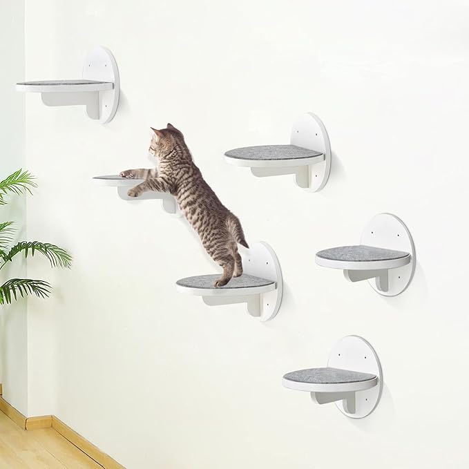 Y&ME 6-Pack Cat Climbing Shelves with Scratching Pad, Wall-Mounted Cat Furniture for Sleep, Climb, Play