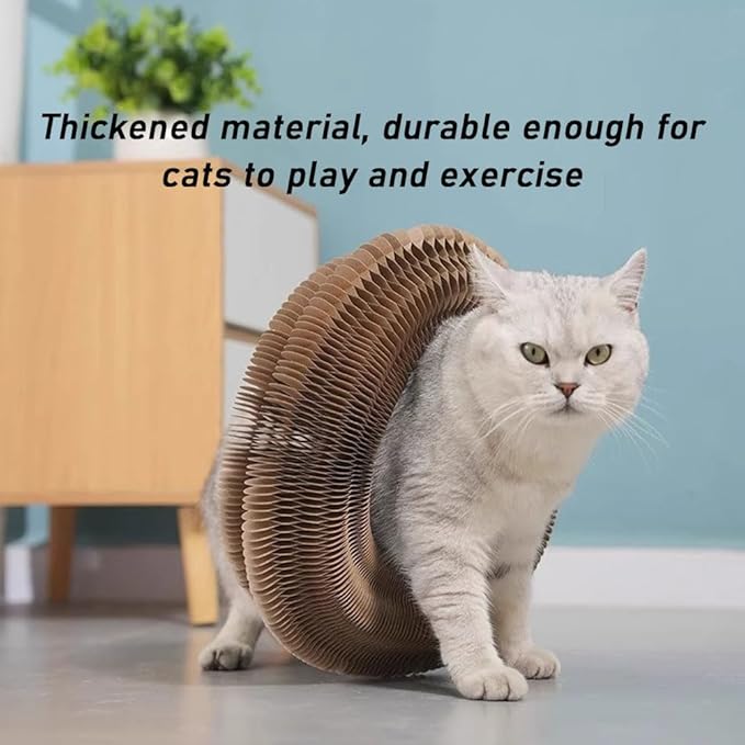 Claw Coil for Cats, Claw Coil, Cat Scratching Board with Bell, Magnetic Suction Interactive Indoor Playboard, Corrugated Paper, Does Not Take Up Space (B)