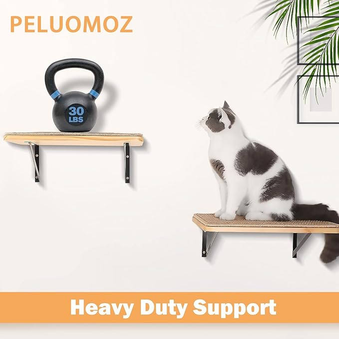 2PCS Cat Wall Shelves with Scratching Mat, 16.6x9.7 Inch Large Cat Wall Hammock Cats Furniture Shelf Window Perch Wall Mounted Beds for Household Pets Sleeping, Playing, Climbing