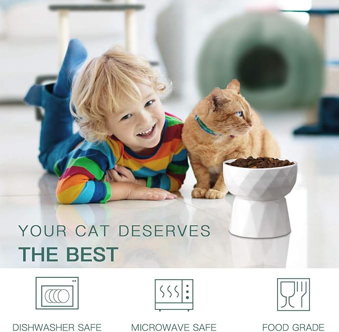 Frewinky Cat Bowls,Ceramic Cat Bowls Anti Vomiting,Raised Food and Water Bowl Set for Cats and Small Dogs,13.5 Oz