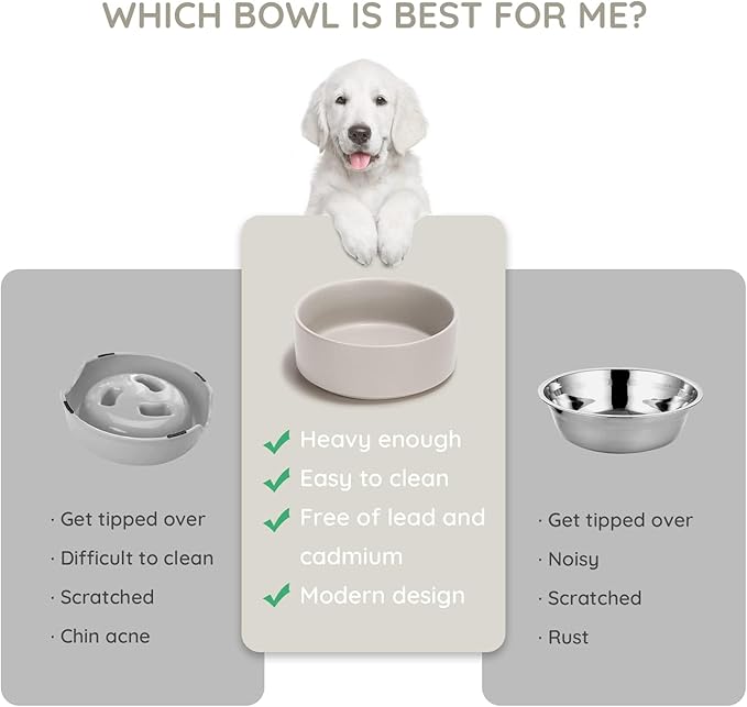 SPUNKYJUNKY 42OZ Ceramic Dog and Cat Bowl, Modern Cute Weighted Food Water Bowl for Replacement Grey (2 Pack)