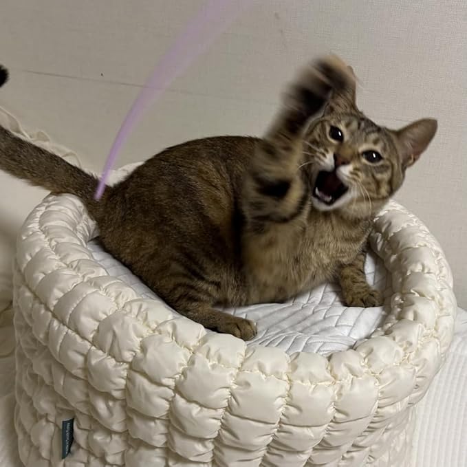 Catch Me If You Can! Silicone Cat Toy Teaser Wand – Durable, Easy-to-Clean Interactive Toy for Active Cats, Safe with Natural Predator Mimicking Movements