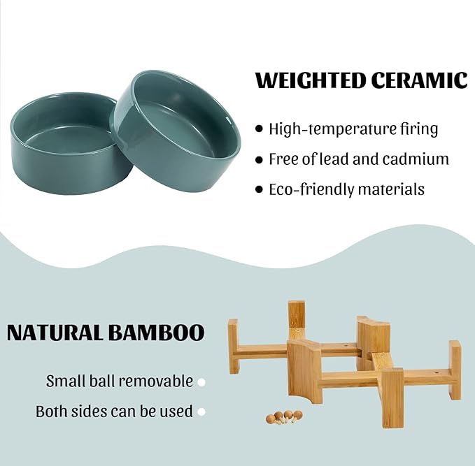 SPUNKYJUNKY 15° Slanted Ceramic Dog and Cat Bowl with Wooden Stand, Tilted Bulldog Food and Water Bowl No Slip Non-Spill for Cats Medium Dogs Big Face Pets 28.7 OZ (3.6 Cups, Light Green × 2)