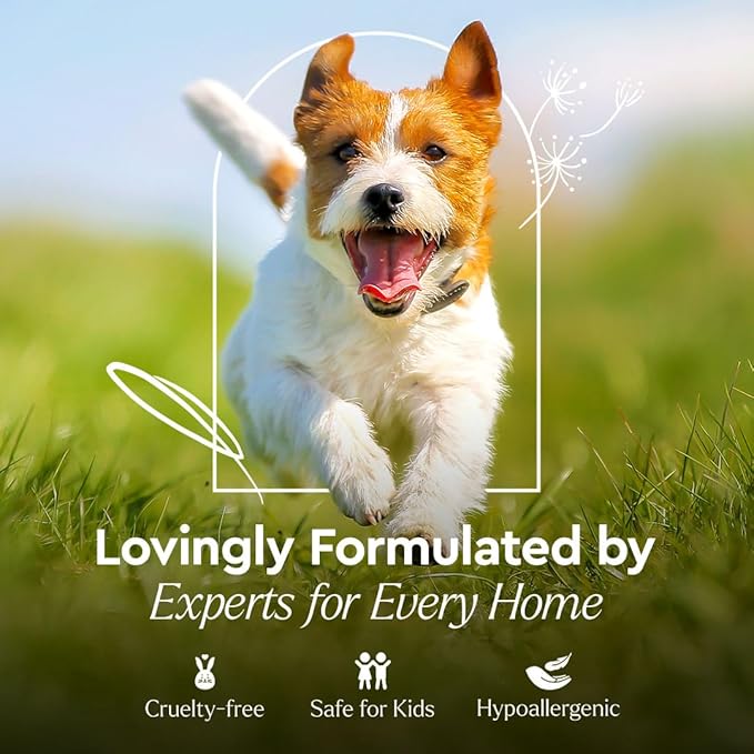 Puracy Pet Stain and Odor Remover - Enzyme Cleaner for Dog Urine and Poop Carpet - Cat Pee Enzyme for Cat Urine Cleaner Destroyer - Cucumber & Mint, 25oz