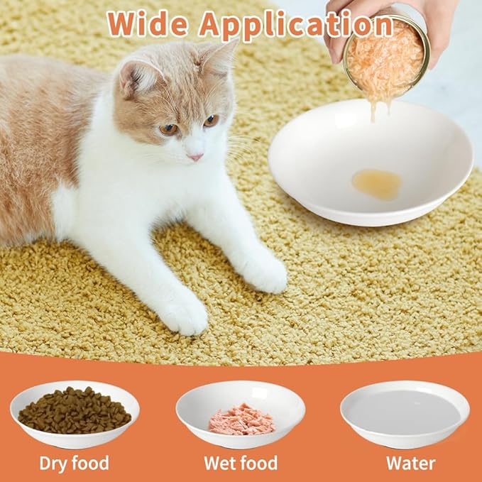 4-Pic Large Cat Bowls,No Spill,6.5" Cat Food Bowl,Anti Whisker Fatigue Healthy Ceramic Cats Dishes Set for Indoor Cats,Shallow Wide Kitten Plates for Food and Water,Non-Slip Silicone Bottom