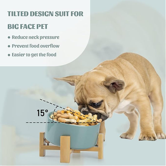 SPUNKYJUNKY 15° Slanted Ceramic Dog and Cat Bowl with Wooden Stand, Tilted Bulldog Food and Water Bowl No Slip Non-Spill for Cats Medium Dogs Big Face Pets 28.7 OZ (3.6 Cups, Light Green)
