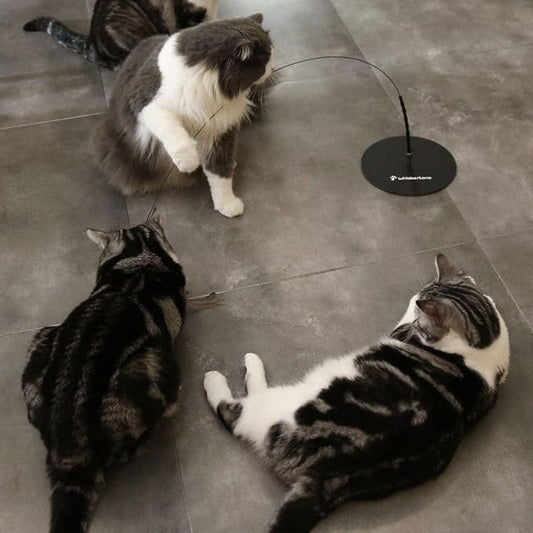 Weighted Base (Interactive Bird Simulation Cat Toy)