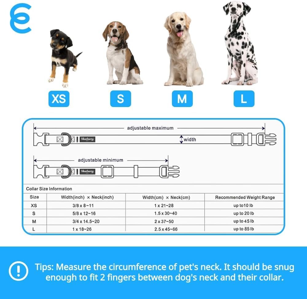 Blueberry Pet X-Small Dog Collar | Girl Dog Collars | Female Dog Collar XS | Quick Release Dog Collar | Fired Brick Nylon Dog Collar for Girl, Collar for Small Dogs