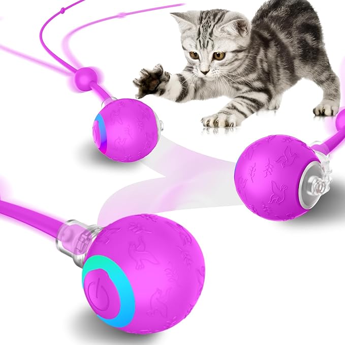 Interactive Cat Toys Ball for Indoor Cats,Automatic Kitten Toys for Bored Indoor Adult Cats,Motion Activated,USB Rechargeable(Purple)
