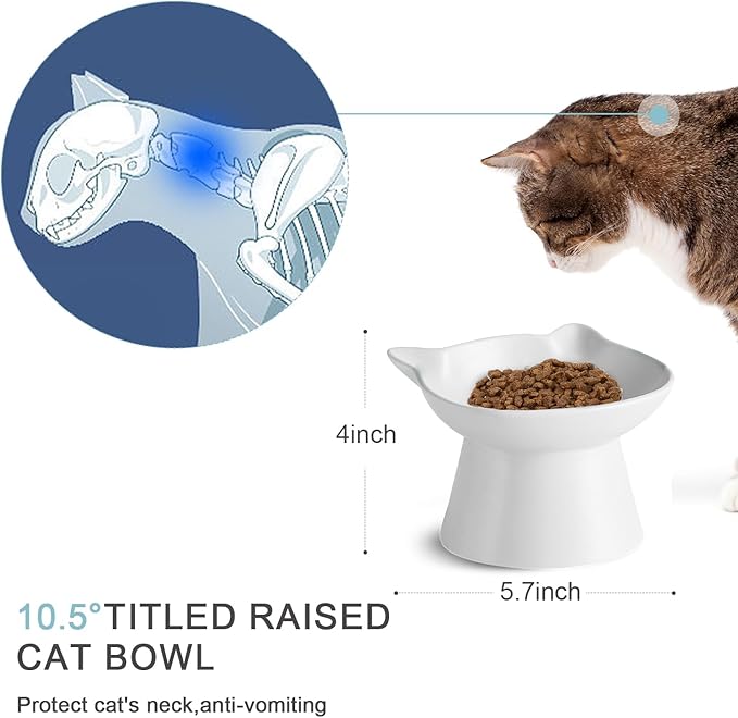 Ceramic Elevated Cat Bowl, Raised Cat Food Water Bowl for Indoor Cats with Stand, Titled Anti-Vomiting Cat Dish，Whisker Friendly, All Life Stage