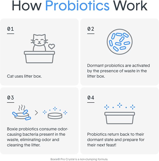 Boxie® Probiotic Cat Litter, Lightweight 40-Day Odor Control, Clumping, 6.5lb