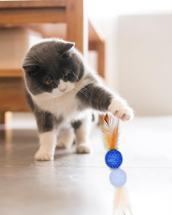 PET SHOW 10 Pack Cat Toys - Woolen Yarn Cat Balls, Interactive Mesh Feather Ball, String Toy for Indoor Cats, Chase Training Activity for Kittens