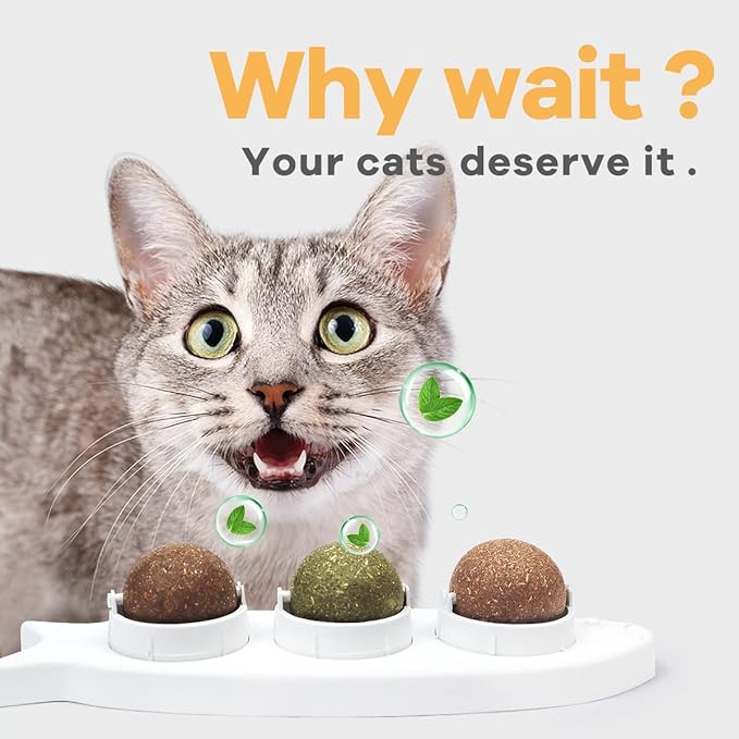 Magic Catnip Wall Balls Toys for Cats - Kitten Treat Toys Indoor - Teeth Cleaning Chew Silvervine Balls