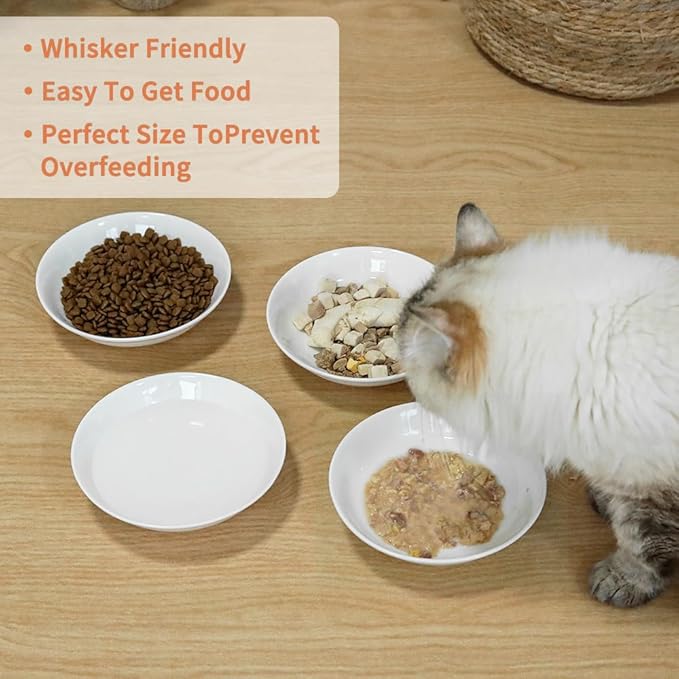 4-Pic Large Cat Bowls,No Spill,6.5" Cat Food Bowl,Anti Whisker Fatigue Healthy Ceramic Cats Dishes Set for Indoor Cats,Shallow Wide Kitten Plates for Food and Water,Non-Slip Silicone Bottom