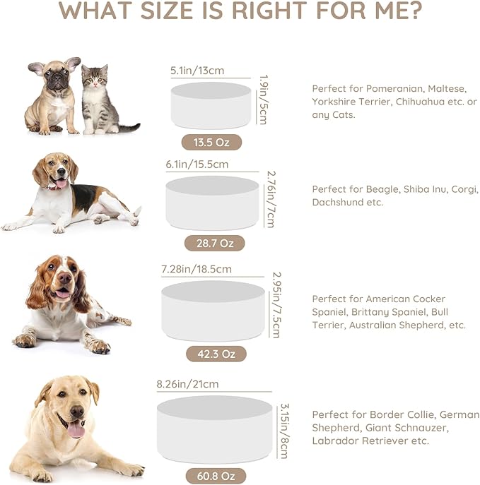 SPUNKYJUNKY 60OZ Ceramic Dog and Cat Bowl, Modern Cute Weighted Food Water Bowl for Replacement White (2 Pack)