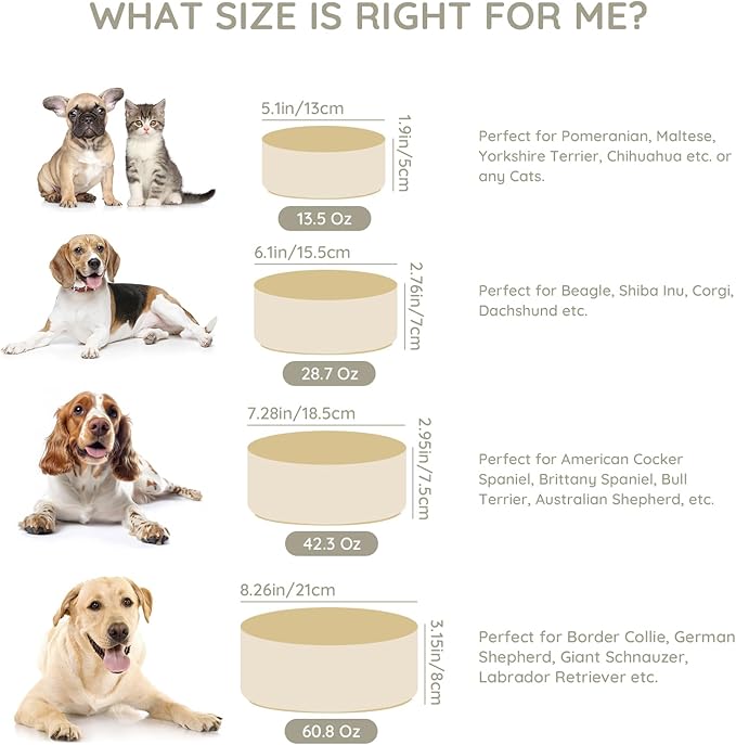 SPUNKYJUNKY 28.7OZ Ceramic Dog and Cat Bowl, Modern Cute Weighted Food Water Bowl for Replacement Beige (2 Pack)