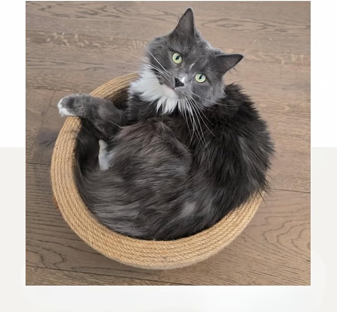 Da Bowl – 2-in-1 Sisal Cat Scratcher Bed with Catnip & Solid Wood Base for Indoor Cats, Round Scratching Nest, Jute Scratching Lounge Couch, Durable Pre-Assembled Cat Furniture, 13.8x5.9