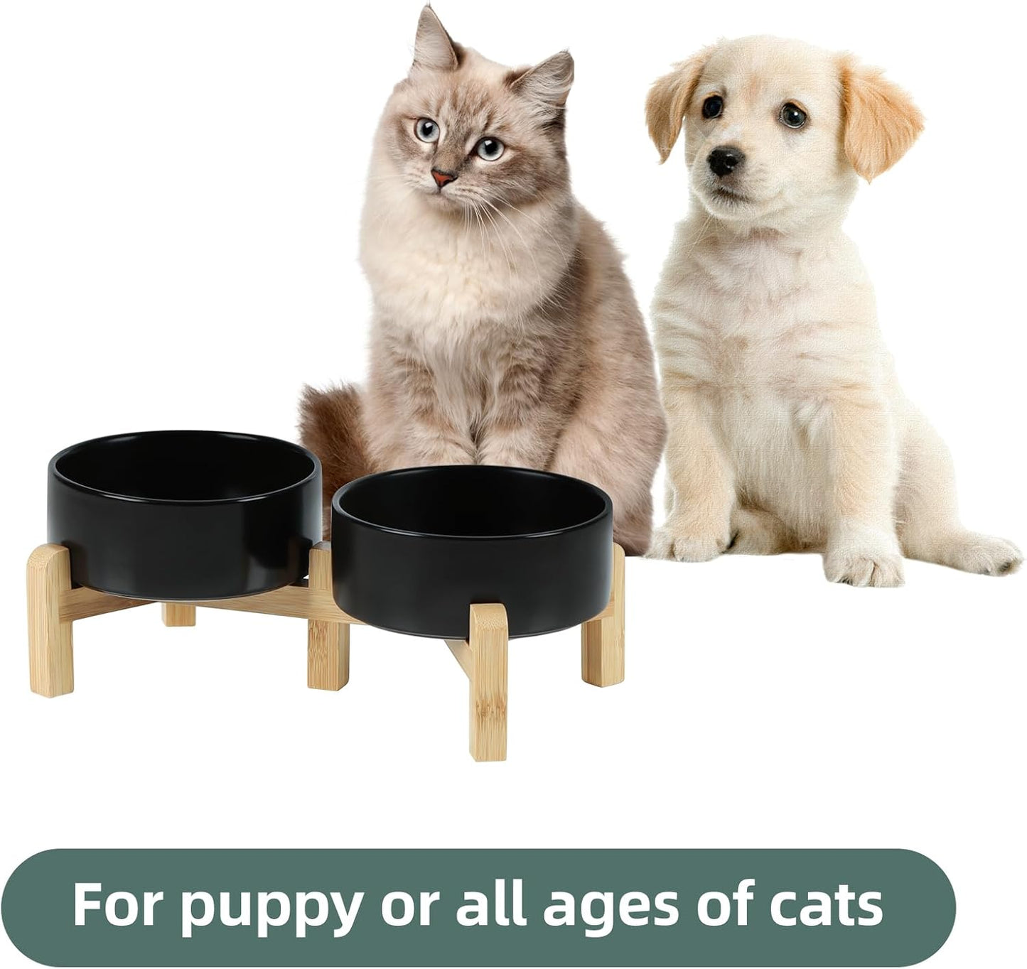 Ceramic Raised Double Bowls Set with Stand, 2 Heights Elevated, Food & Water Bowls for Small Breed Dogs, Cats, Kitty, Weighted Dog Dishes, Pet Bowls(5.1'',13.5oz, Black)