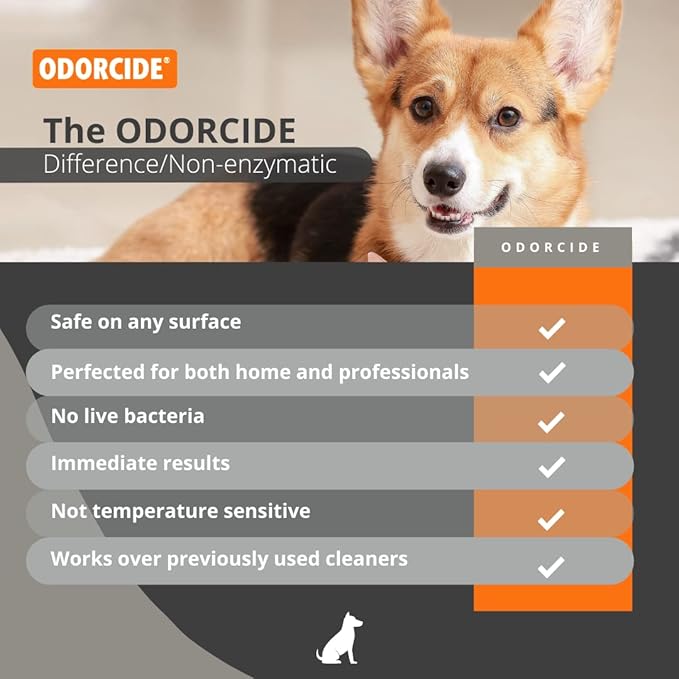 ODORMED Odor Eliminator Concentrate – Pet Odor Eliminator for Strong Odor on Floors, Walls, Cages & More – All-Purpose Carpet Deodorizer w/Safe, Non-Enzymatic Formula (1 Gal, Caribbean Citrus Mist)